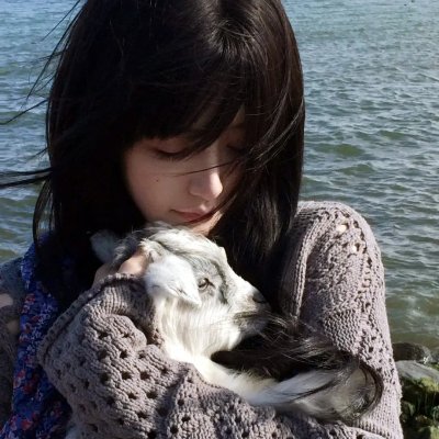 神探狄仁杰前传 在线观看